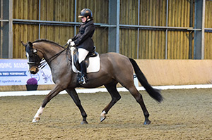 Dressage horse in training #4
