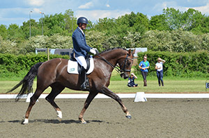 Dressage horse in training #3
